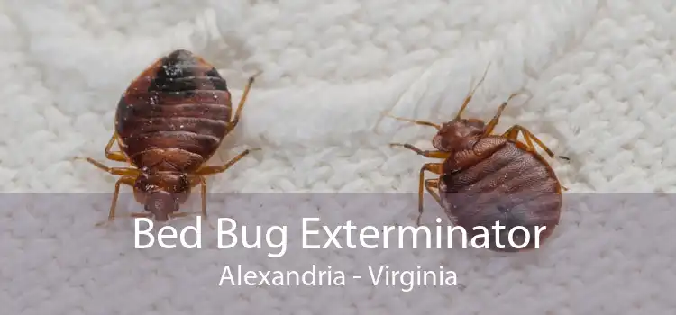 Bed Bug Exterminator Alexandria - Virginia