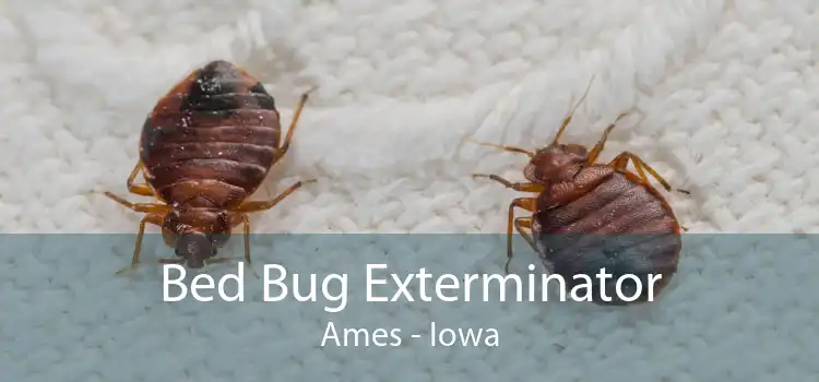 Bed Bug Exterminator Ames - Iowa