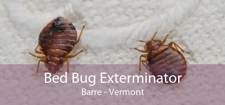 Bed Bug Exterminator Barre - Vermont