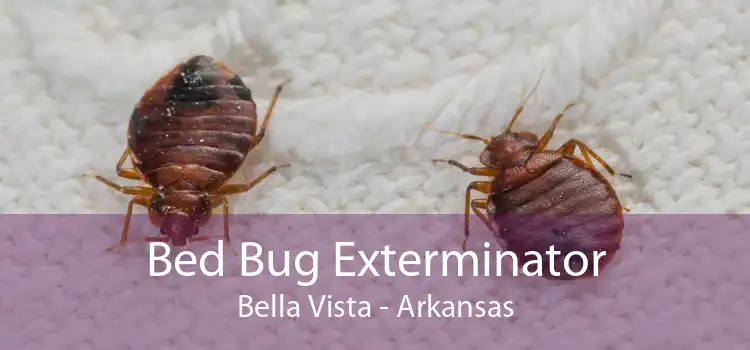 Bed Bug Exterminator Bella Vista - Arkansas