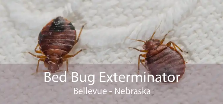 Bed Bug Exterminator Bellevue - Nebraska