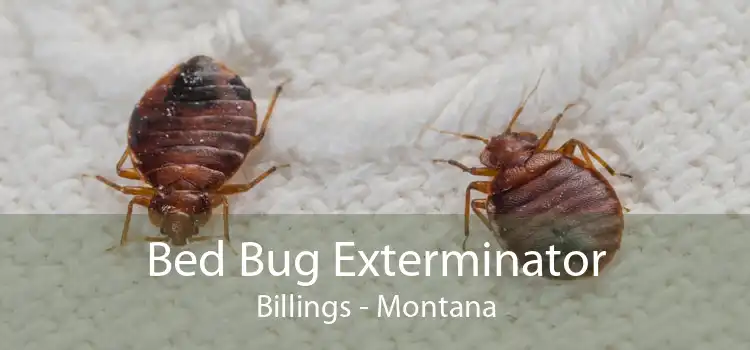 Bed Bug Exterminator Billings - Montana