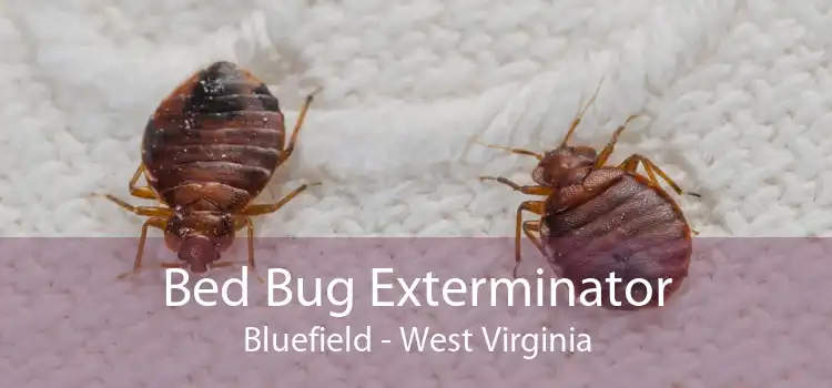 Bed Bug Exterminator Bluefield - West Virginia