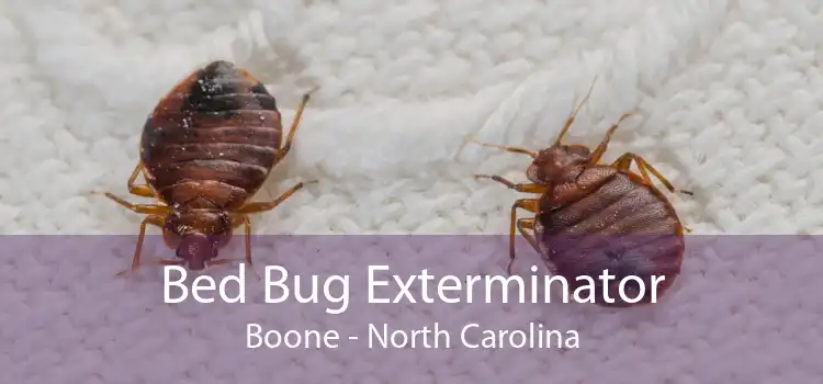 Bed Bug Exterminator Boone - North Carolina
