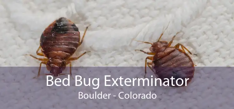 Bed Bug Exterminator Boulder - Colorado