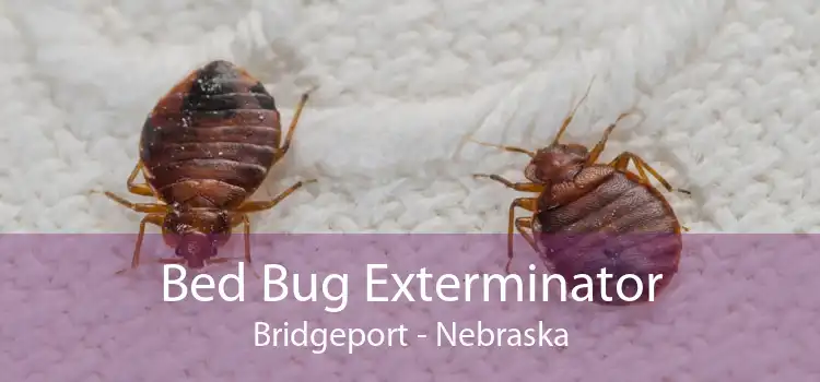 Bed Bug Exterminator Bridgeport - Nebraska