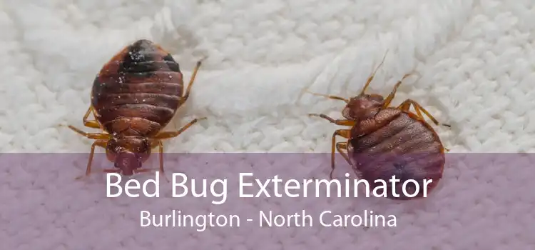 Bed Bug Exterminator Burlington - North Carolina