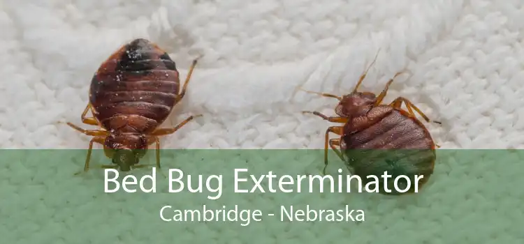Bed Bug Exterminator Cambridge - Nebraska