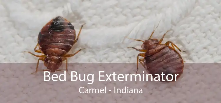 Bed Bug Exterminator Carmel - Indiana