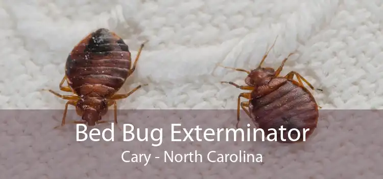 Bed Bug Exterminator Cary - North Carolina