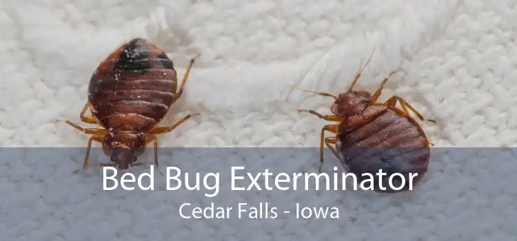 Bed Bug Exterminator Cedar Falls - Iowa