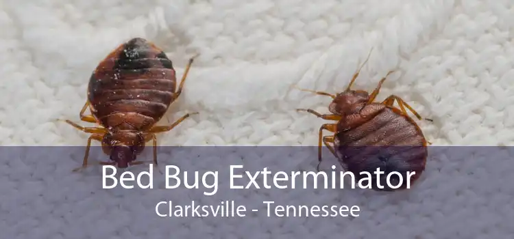 Bed Bug Exterminator Clarksville - Tennessee