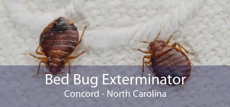 Bed Bug Exterminator Concord - North Carolina