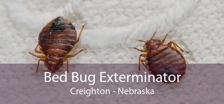 Bed Bug Exterminator Creighton - Nebraska