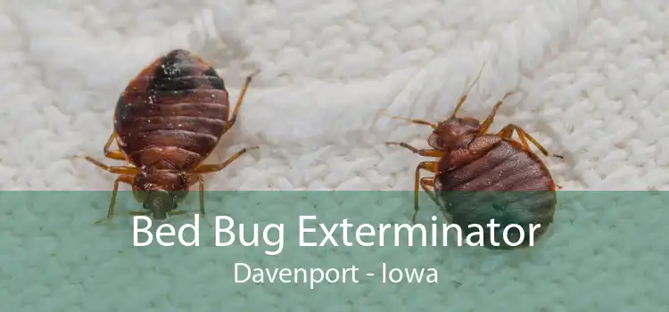 Bed Bug Exterminator Davenport - Iowa