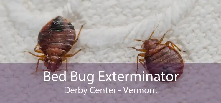 Bed Bug Exterminator Derby Center - Vermont
