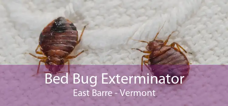 Bed Bug Exterminator East Barre - Vermont