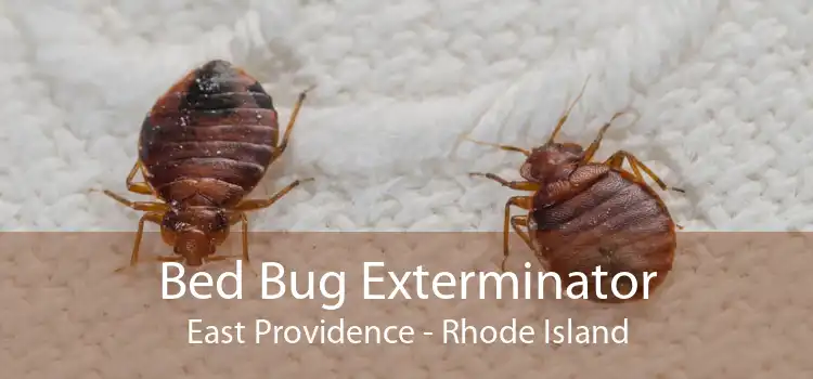Bed Bug Exterminator East Providence - Rhode Island