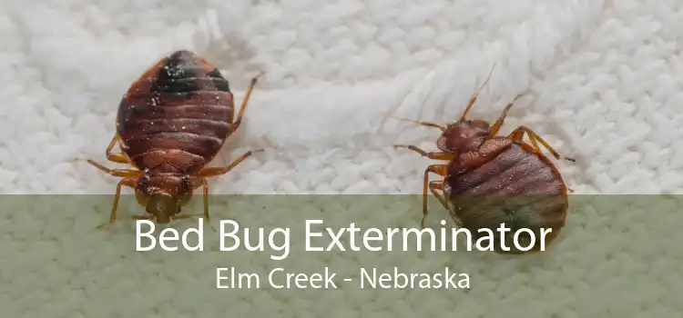 Bed Bug Exterminator Elm Creek - Nebraska