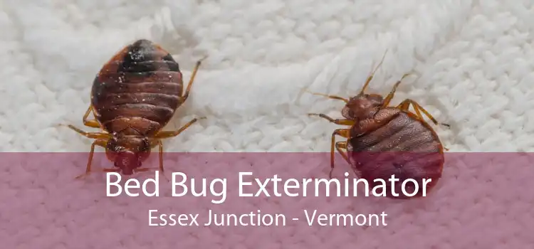 Bed Bug Exterminator Essex Junction - Vermont