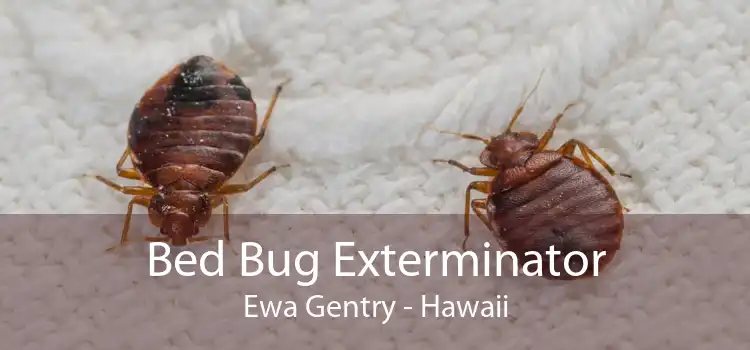 Bed Bug Exterminator Ewa Gentry - Hawaii