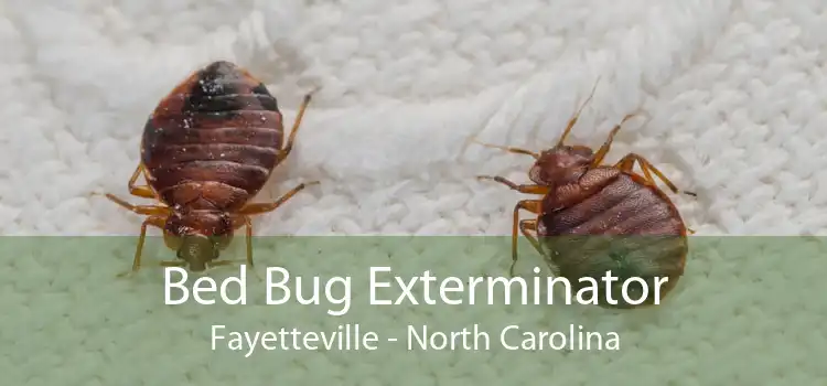 Bed Bug Exterminator Fayetteville - North Carolina