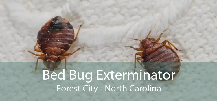Bed Bug Exterminator Forest City - North Carolina