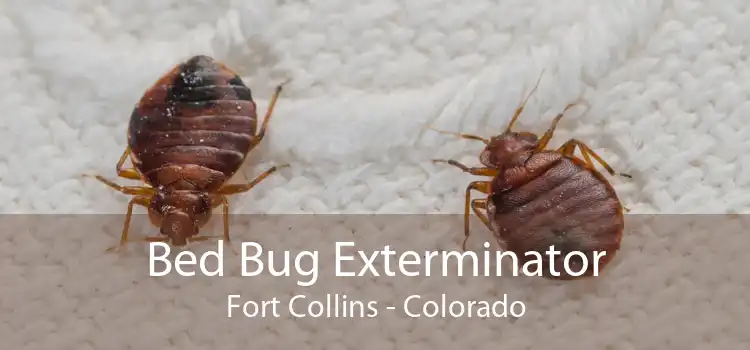 Bed Bug Exterminator Fort Collins - Colorado