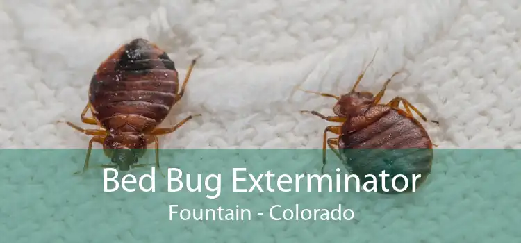 Bed Bug Exterminator Fountain - Colorado