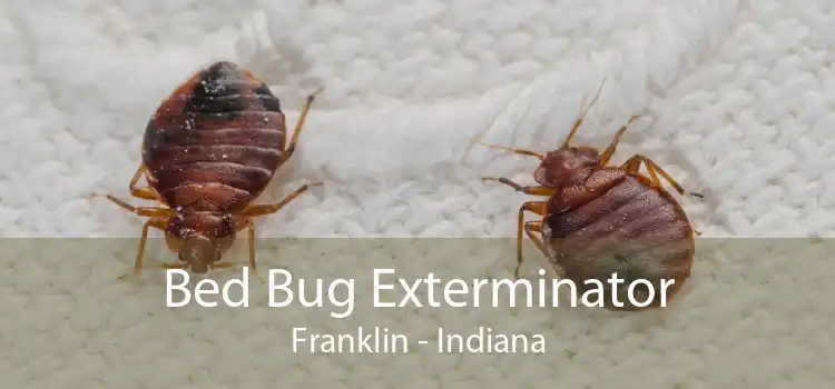 Bed Bug Exterminator Franklin - Indiana