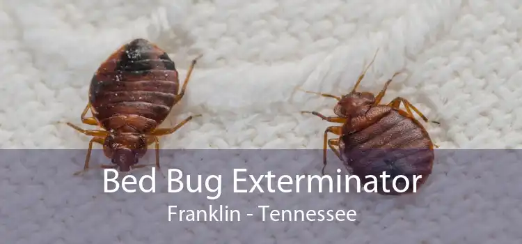 Bed Bug Exterminator Franklin - Tennessee
