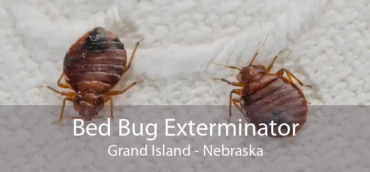 Bed Bug Exterminator Grand Island - Nebraska