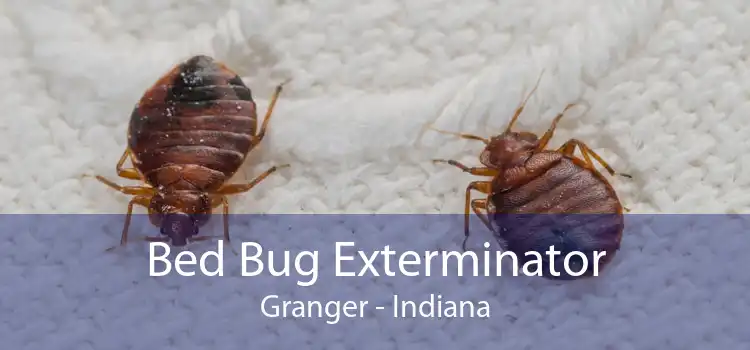 Bed Bug Exterminator Granger - Indiana