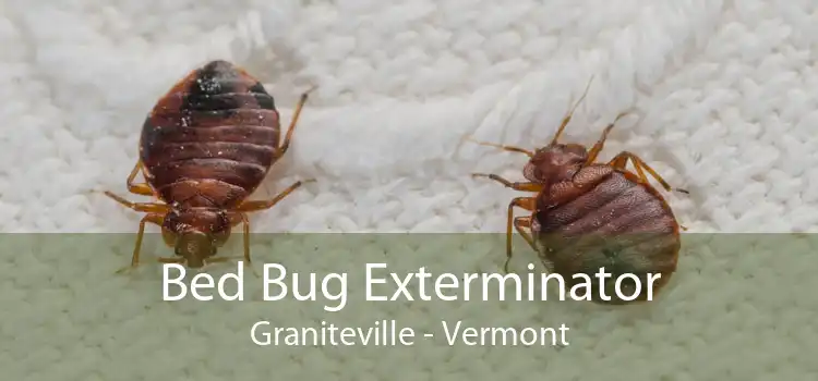 Bed Bug Exterminator Graniteville - Vermont