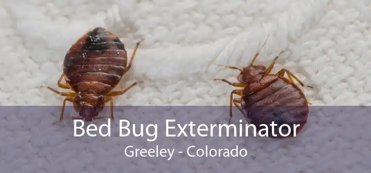 Bed Bug Exterminator Greeley - Colorado