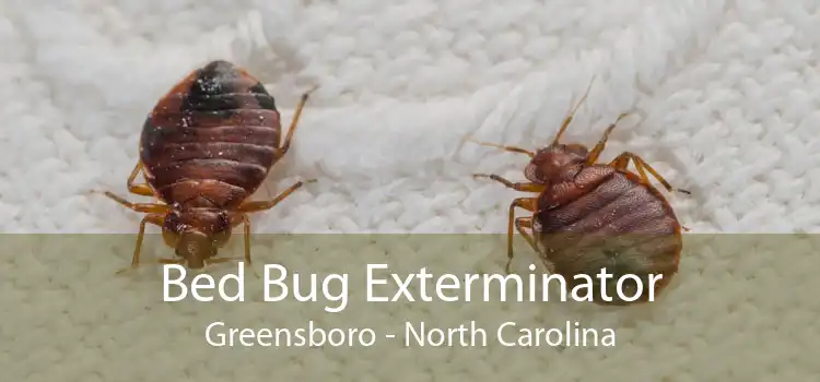 Bed Bug Exterminator Greensboro - North Carolina
