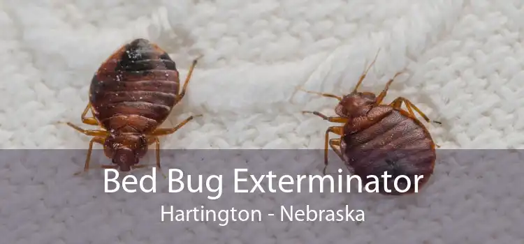 Bed Bug Exterminator Hartington - Nebraska