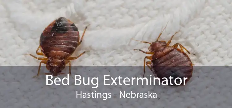 Bed Bug Exterminator Hastings - Nebraska