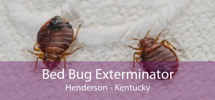 Bed Bug Exterminator Henderson - Kentucky
