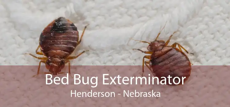 Bed Bug Exterminator Henderson - Nebraska
