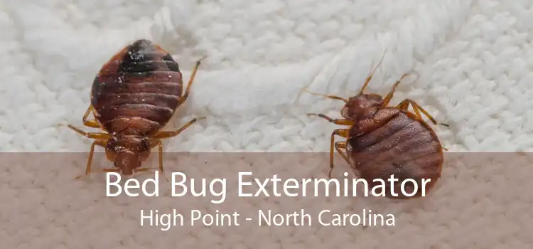 Bed Bug Exterminator High Point - North Carolina