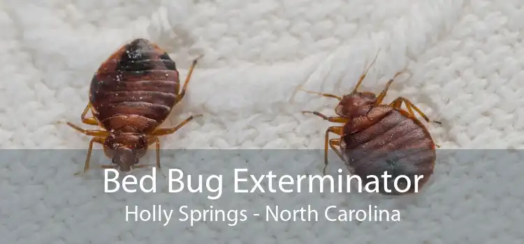 Bed Bug Exterminator Holly Springs - North Carolina