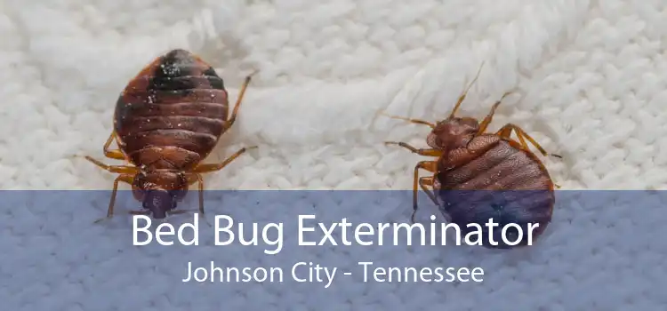 Bed Bug Exterminator Johnson City - Tennessee