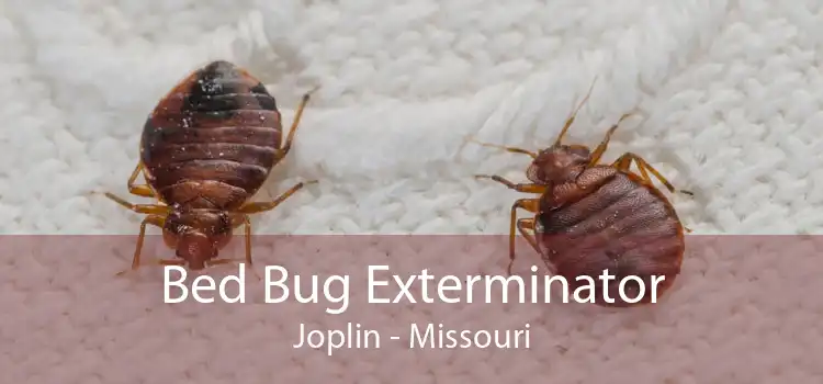 Bed Bug Exterminator Joplin - Missouri