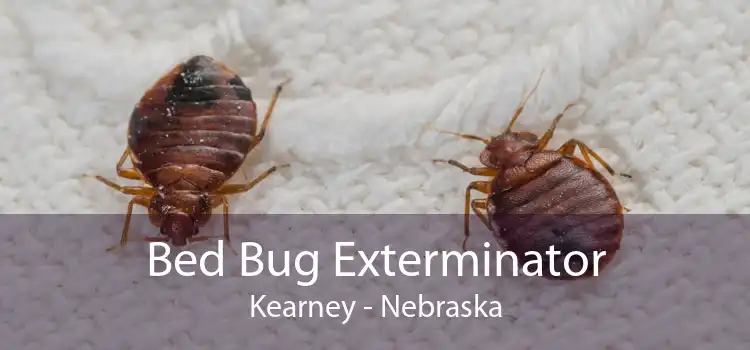 Bed Bug Exterminator Kearney - Nebraska