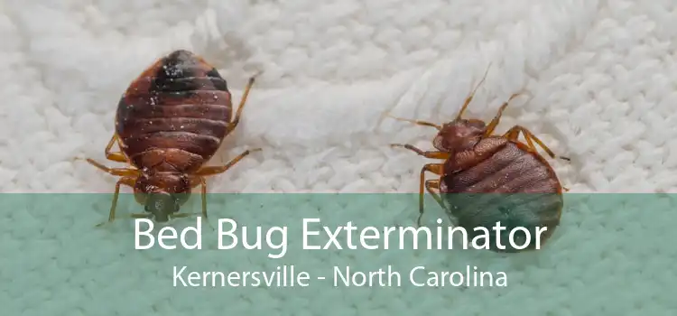 Bed Bug Exterminator Kernersville - North Carolina
