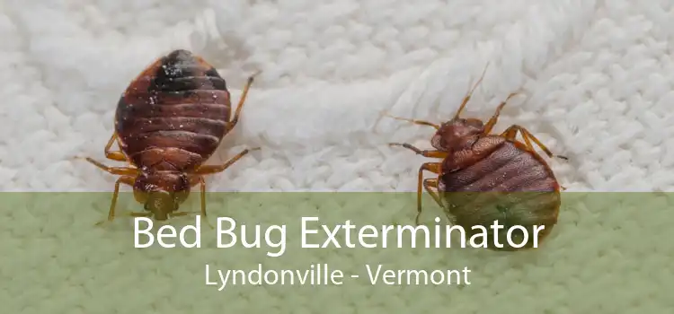 Bed Bug Exterminator Lyndonville - Vermont