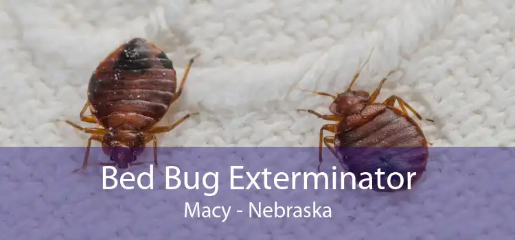 Bed Bug Exterminator Macy - Nebraska