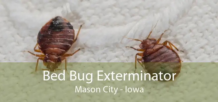 Bed Bug Exterminator Mason City - Iowa