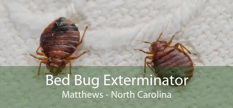 Bed Bug Exterminator Matthews - North Carolina
